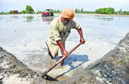 punjab