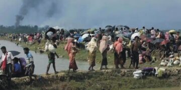 Rohingya