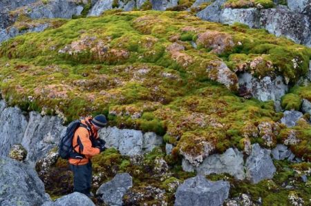 Antarctica Greening