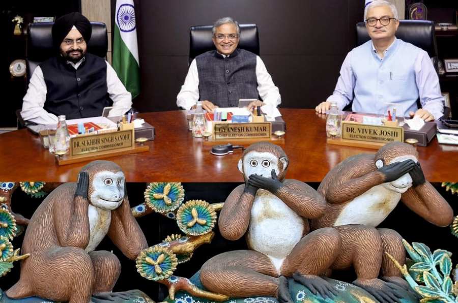 Eci 3 Monkeys