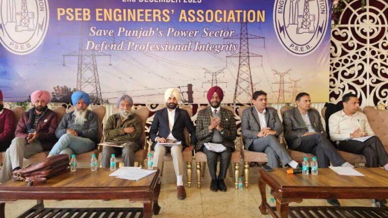 PSPCL, PSTCL and BBMB engineers gather in Patiala for a state-level protest meeting against political interference.