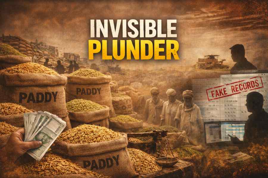 Paddy sacks in a mandi with paperwork and cash symbolising procurement corruption