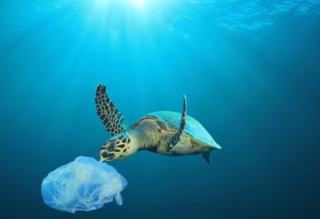 Sea turtle swimming near a dissolving plastic bag underwater